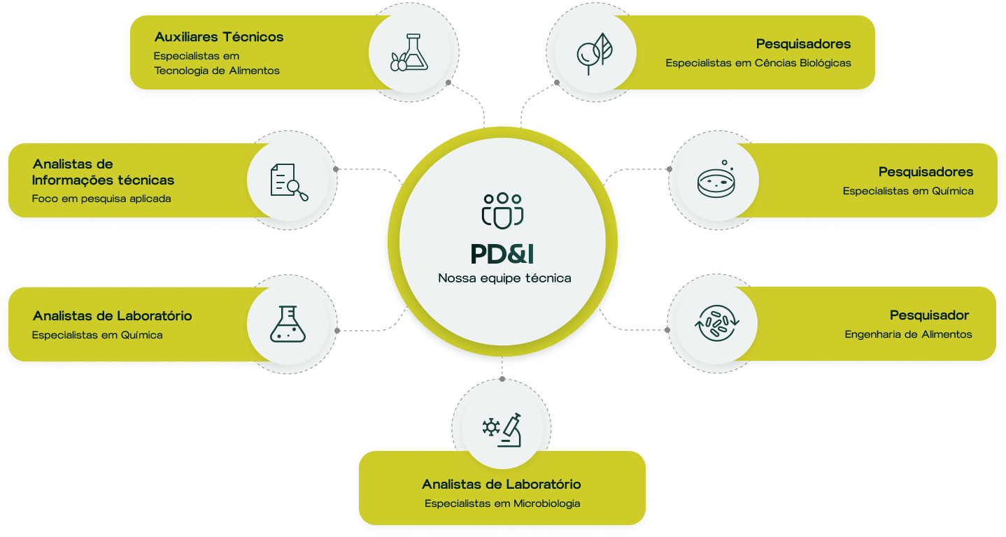 Estrutura equipe tecnica ad foods